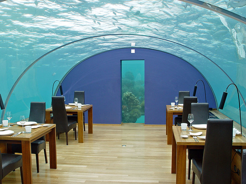 Photo of Unique things to do in the Maldives – A different side of the archipelago 2/3 by william barry