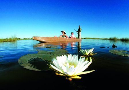 Photo of Okavango Delta, Ngamiland East, North West, Botswana by Stephen