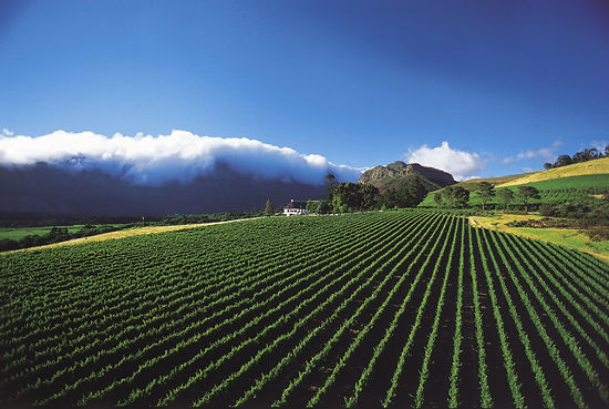 Photo of Cape Winelands Home Stays, Stellenbosch, Western Cape, South Africa by Stephen