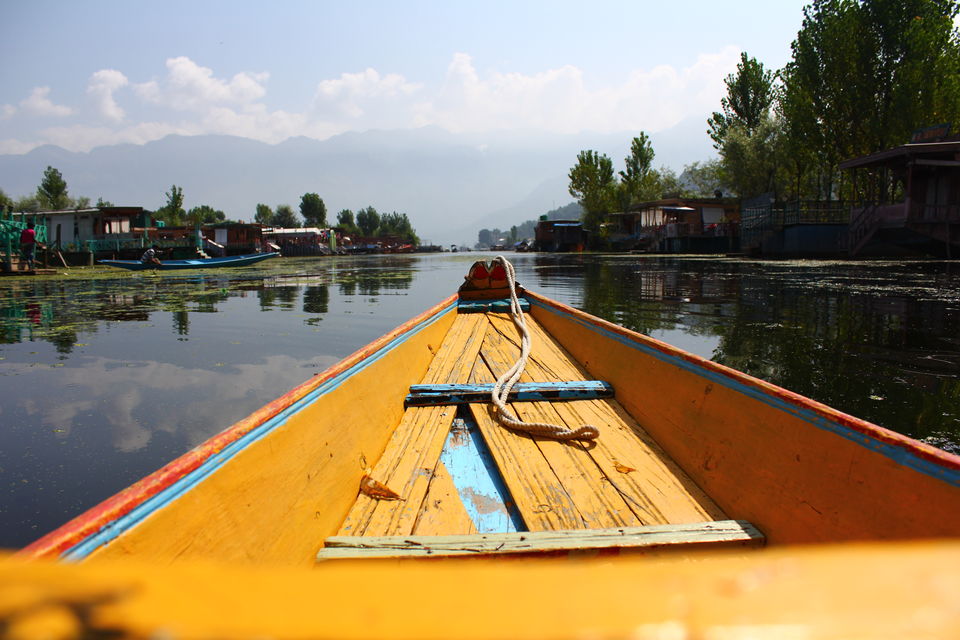 Photo of Ladakh: A journey into myself 1/53 by Kaushal Meena