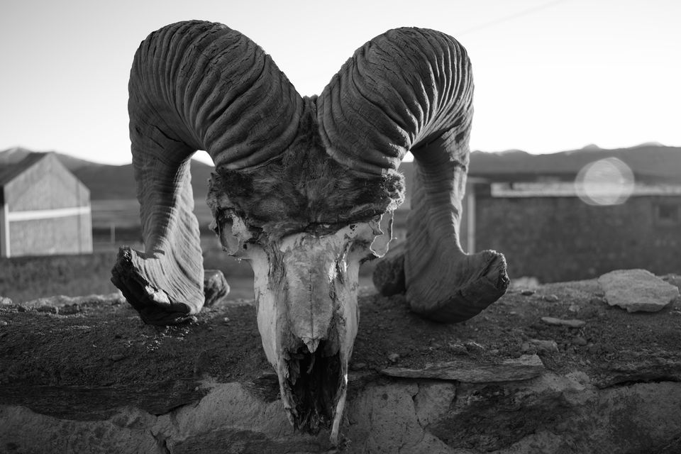 Photo of Ladakh: A journey into myself 20/53 by Kaushal Meena