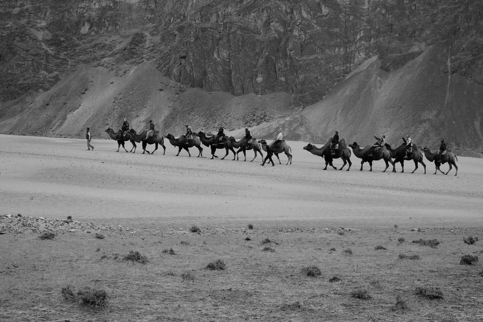 Photo of Ladakh: A journey into myself 32/53 by Kaushal Meena