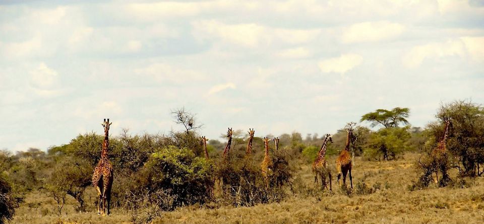 The Masai Experience - Tripoto