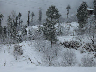 Photo of Amazing winter trip in Shimla Kullu Manali 10/15 by Pritam's Travel Blog