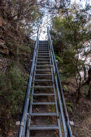 Photos of Gordon Falls Lookout, Blue Mountains National Park, New South Wales, Australia 3/3 by Shona Guthrie