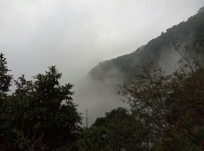 Photo of Dharamshala, Himachal Pradesh, India by Budget Traveller