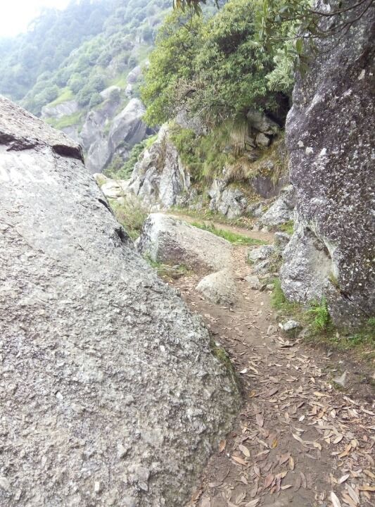 Photo of Dharamshala, Himachal Pradesh, India by Budget Traveller