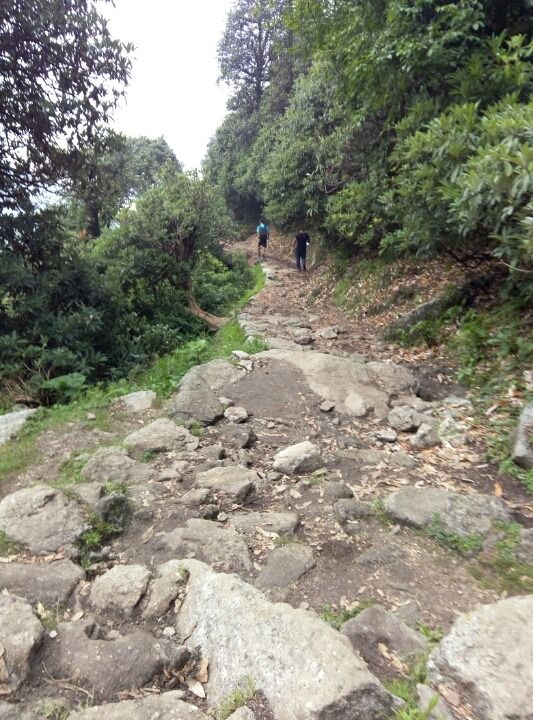 Photo of Dharamshala, Himachal Pradesh, India by Budget Traveller