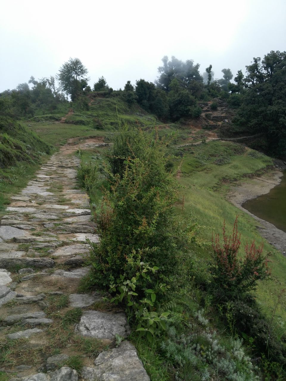 Photo of Chandrashila, Tungnath, Uttarakhand, India by Budget Traveller