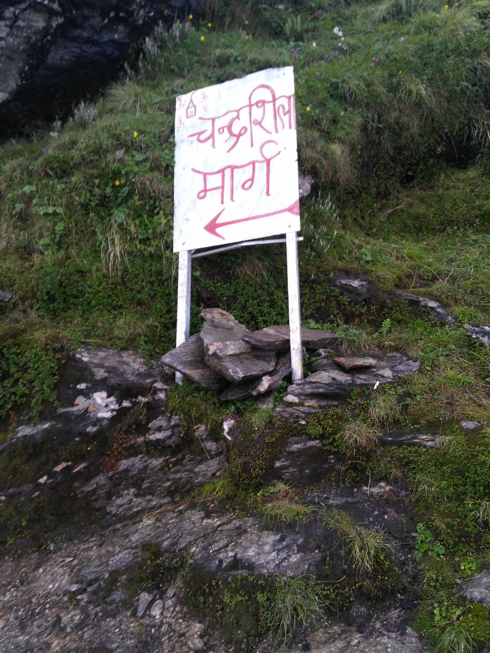 Photo of Chandrashila, Tungnath, Uttarakhand, India by Budget Traveller