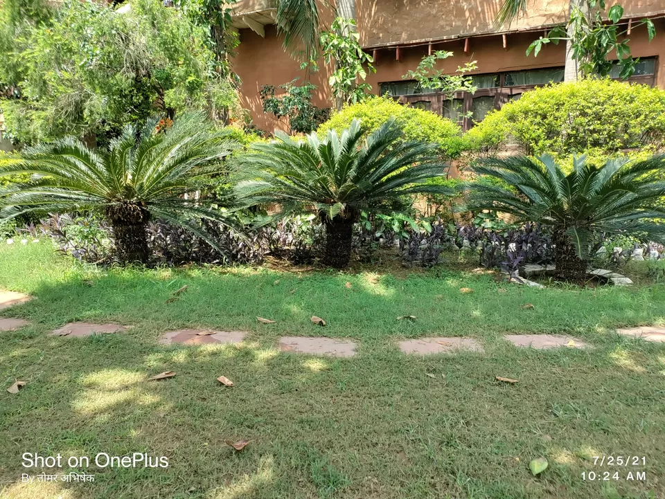 Photo of Trip to Mother Nature by Abhishek Singh Tomar