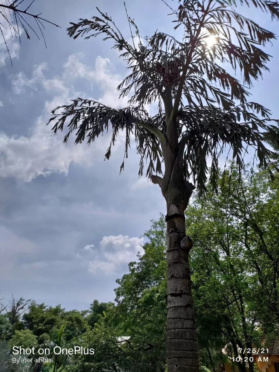 Photo of Trip to Mother Nature by Abhishek Singh Tomar