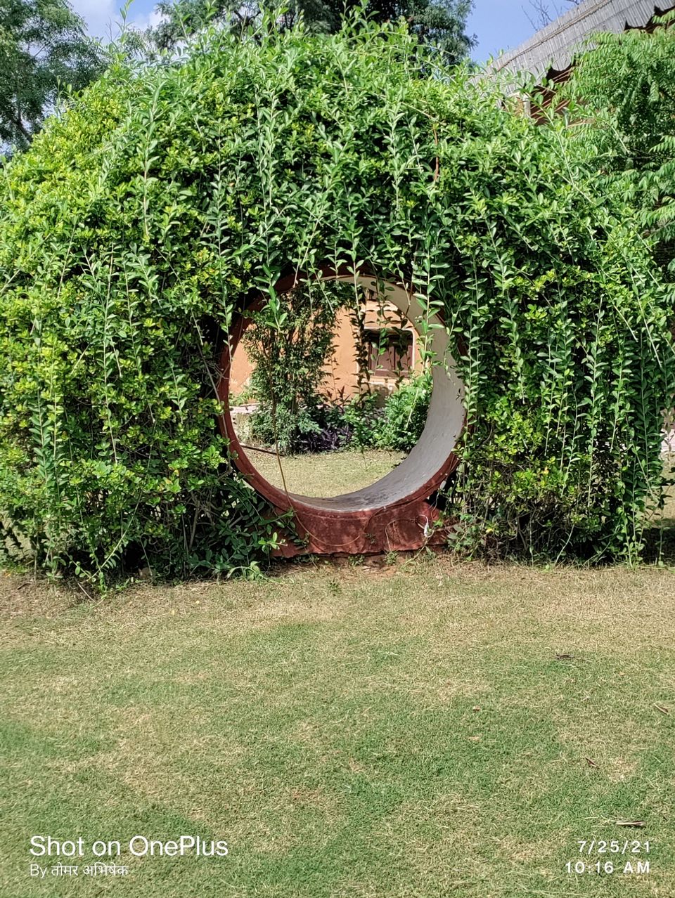 Photo of Trip to Mother Nature by Abhishek Singh Tomar