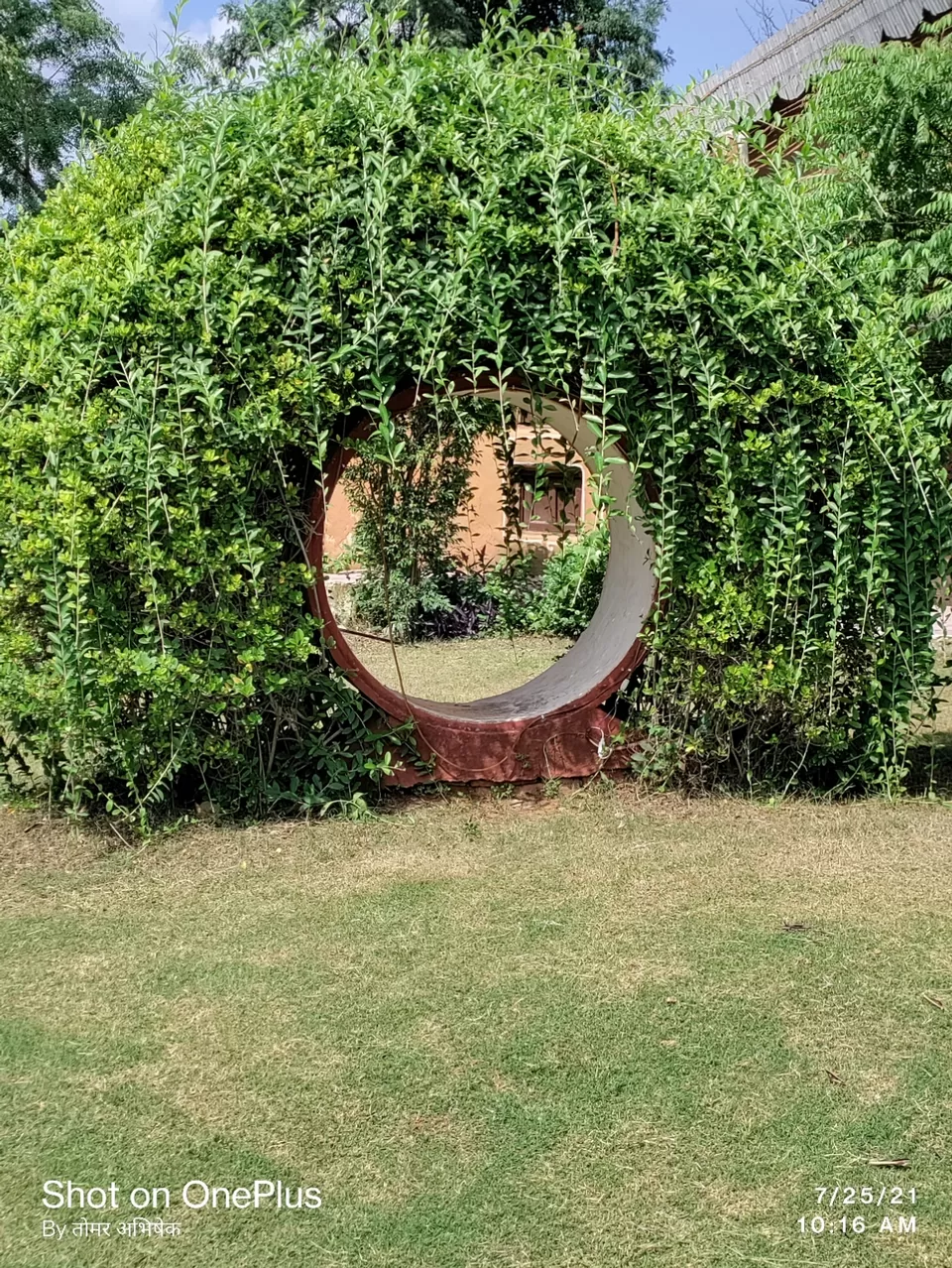 Photo of Trip to Mother Nature by Abhishek Singh Tomar