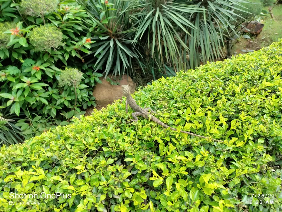Photo of Trip to Mother Nature by Abhishek Singh Tomar