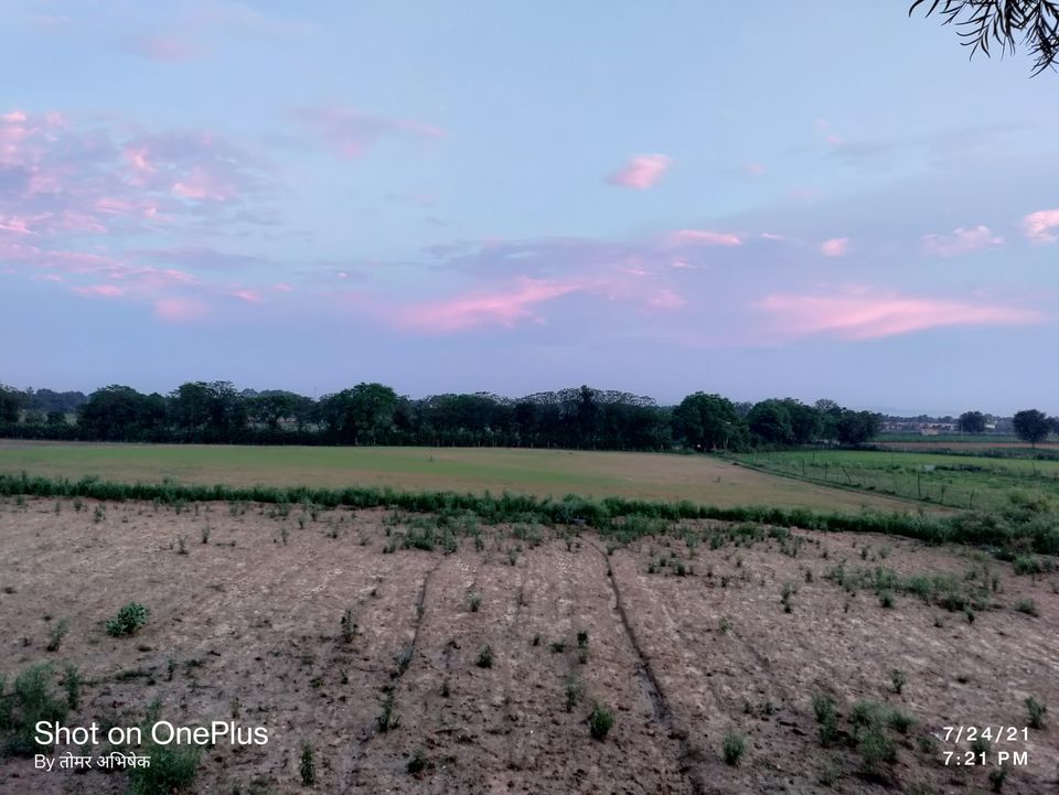 Photo of Trip to Mother Nature by Abhishek Singh Tomar