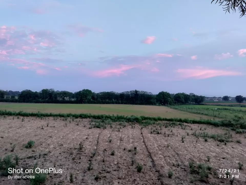 Photo of Trip to Mother Nature by Abhishek Singh Tomar