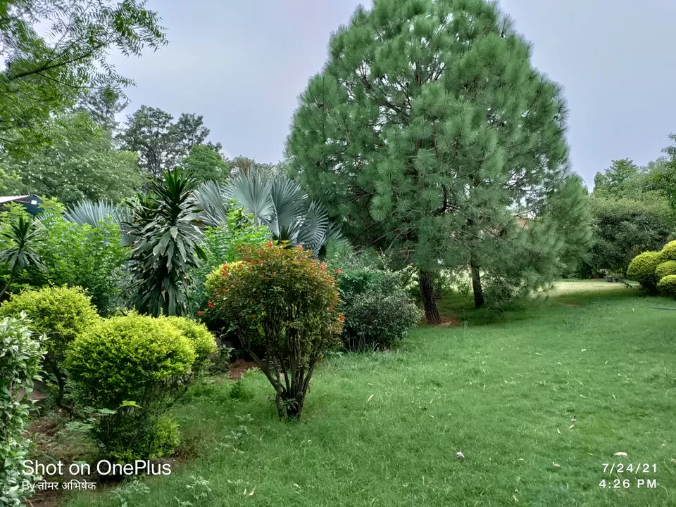 Photo of Trip to Mother Nature by Abhishek Singh Tomar