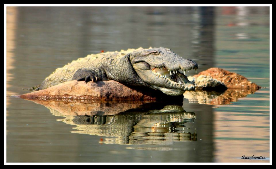 Photo of Chambel River, Madhya Pradesh, India by Sanghamitra Biswas Jayant