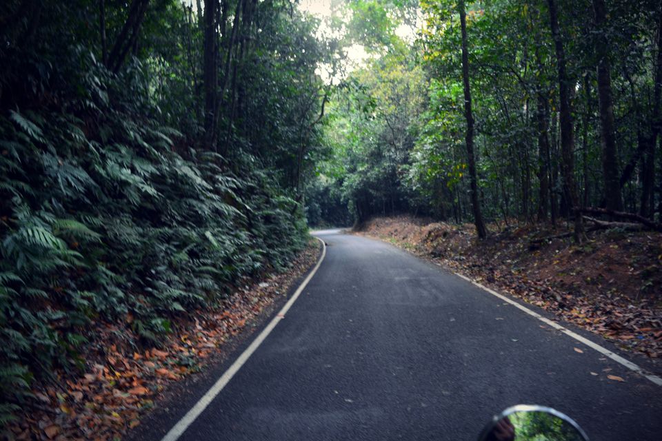 Photo of Motorcycles and Backpacks - A journey of 4 days. Bangalore to Maradu. 20/46 by The Travelling Assassin