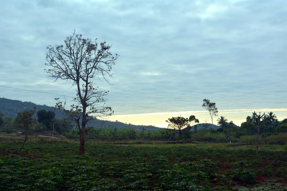 Photo of A bike, a friend, a road – The Yelagiri ride. 3/9 by The Travelling Assassin
