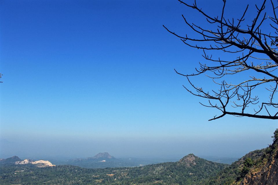 Photo of 4 Wanderers and their wonderful Wayanad tale. 2/2 by The Travelling Assassin