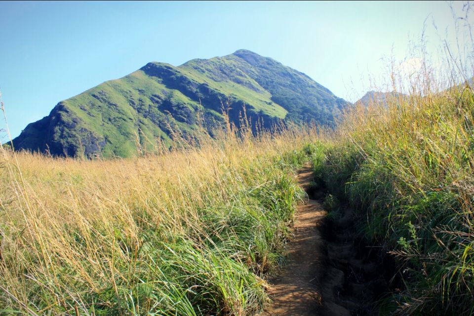 Photo of All you need to know about the incredible Chembra Peak trek 6/14 by The Travelling Assassin
