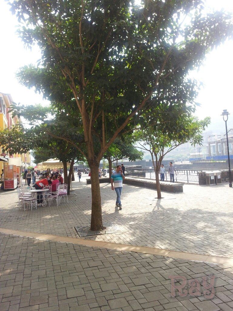 Photo of A Drive to Lavasa City : The Venice of Maharashtra 3/10 by Muktadhara Ray