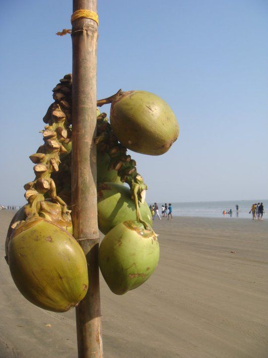 Photo of 5 Weekend Getaways from Kolkata 23/25 by Muktadhara Ray