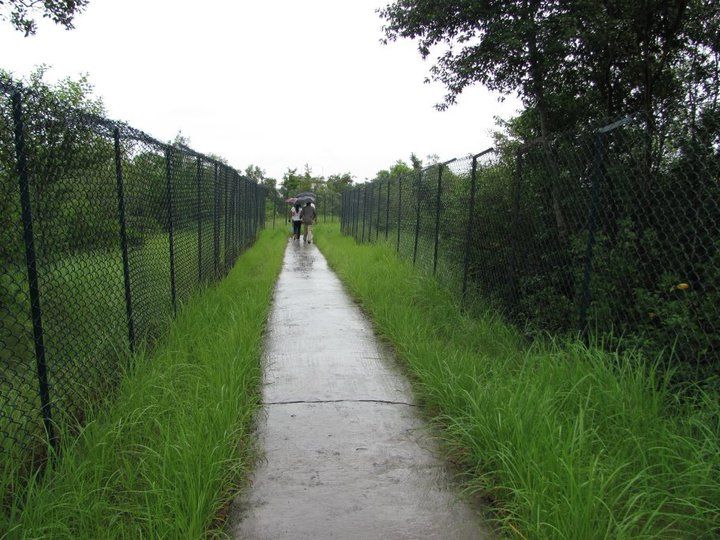 Photo of 5 Weekend Getaways from Kolkata 18/25 by Muktadhara Ray