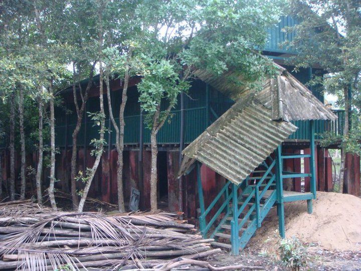 Photo of Sunderbans : The Mangroves of India 7/15 by Muktadhara Ray