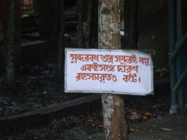 Photo of Sunderbans : The Mangroves of India 9/15 by Muktadhara Ray