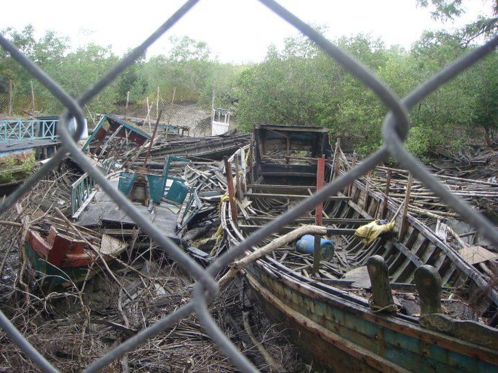 Photo of Sunderbans : The Mangroves of India 12/15 by Muktadhara Ray