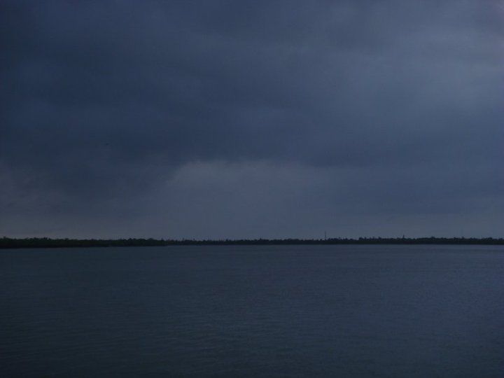 Photo of Sunderbans : The Mangroves of India 15/15 by Muktadhara Ray