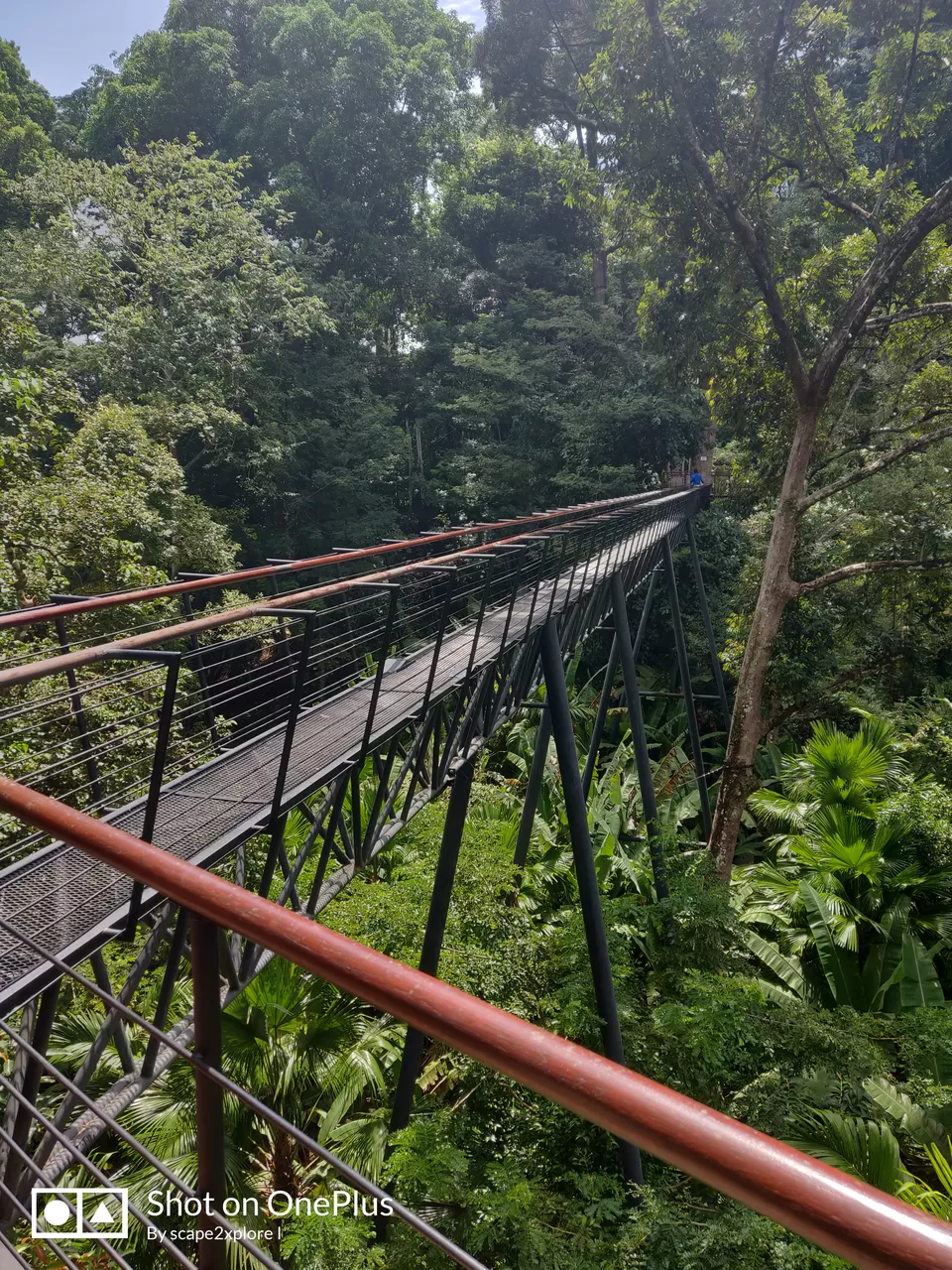 Photo of Hanuman World, Wichit, Mueang Phuket District, Phuket, Thailand by Anu and Naveen