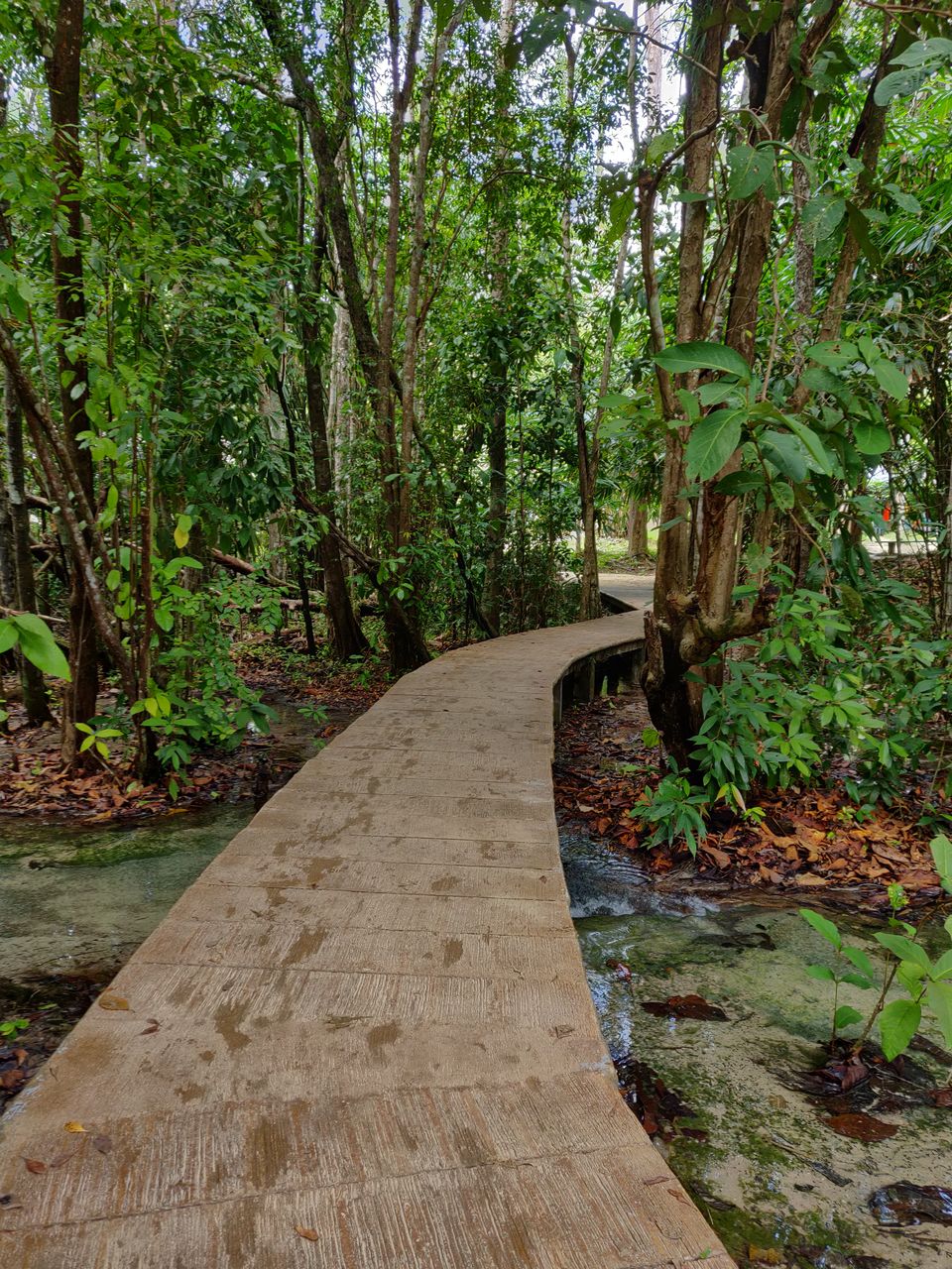 Photo of Phuket and Krabi tour by Anu and Naveen