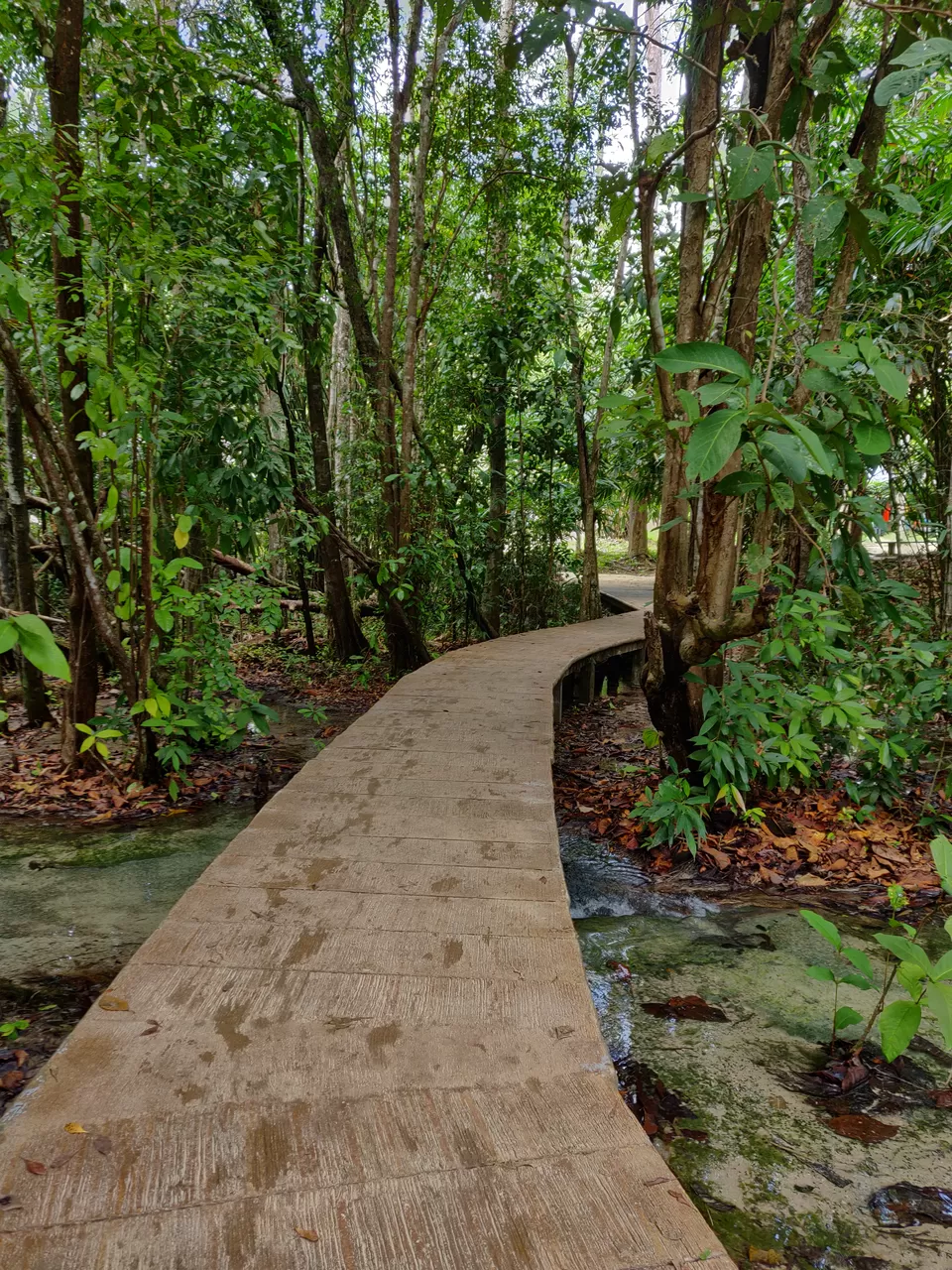 Photo of Phuket and Krabi tour by Anu and Naveen