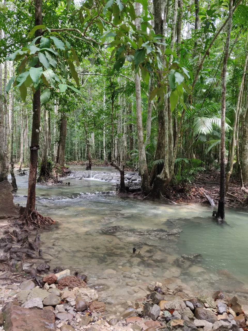 Photo of Phuket and Krabi tour by Anu and Naveen