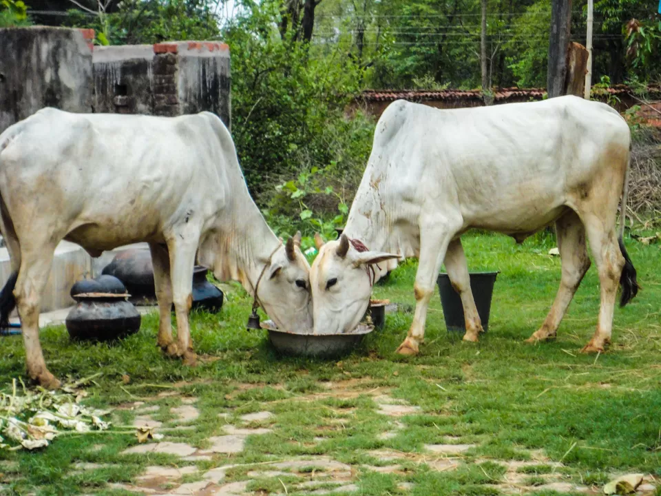 Photo of Turundu, Jharkhand, India by Anjali Kerketta