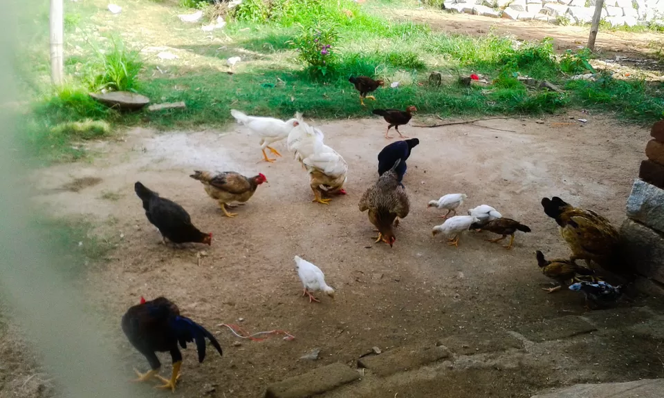 Photo of Turundu, Jharkhand, India by Anjali Kerketta
