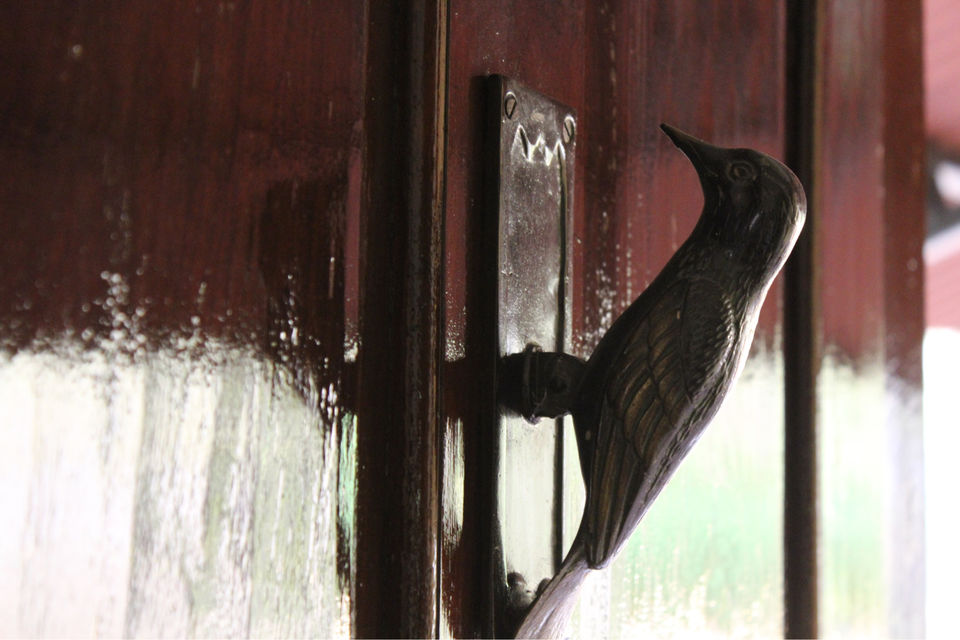 Photo of Jim’s Jungle Retreat by Shamli Hingorani