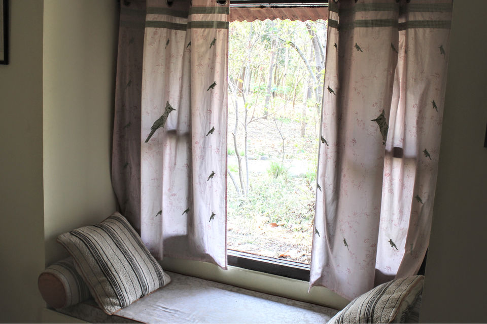 Photo of Jim’s Jungle Retreat by Shamli Hingorani
