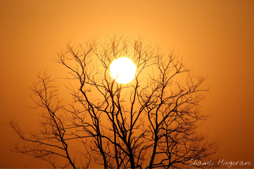 Photo of Dhela, Uttarakhand, India by Shamli Hingorani