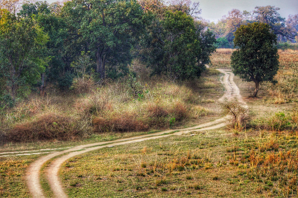 Photo of Dhela, Uttarakhand, India by Shamli Hingorani
