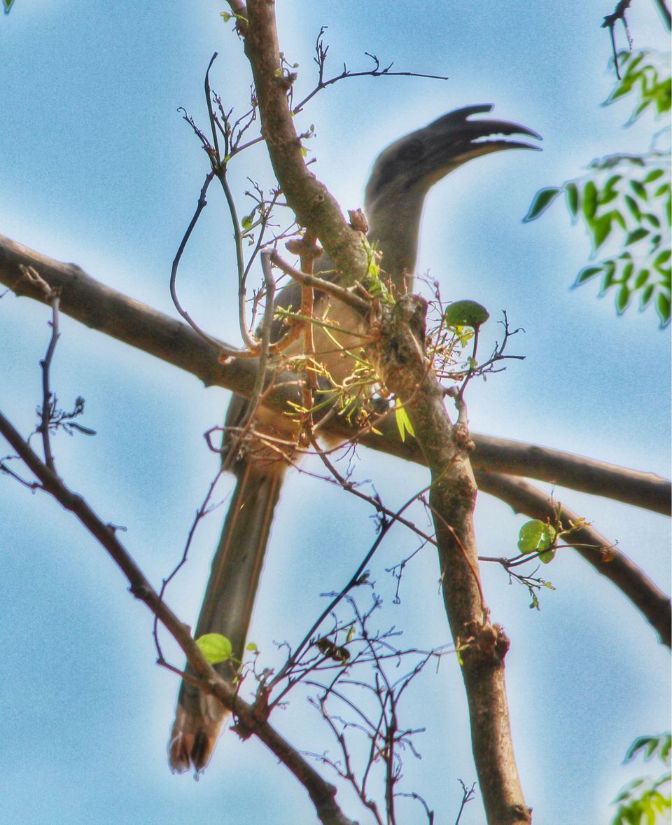 Photo of Dhela, Uttarakhand, India by Shamli Hingorani