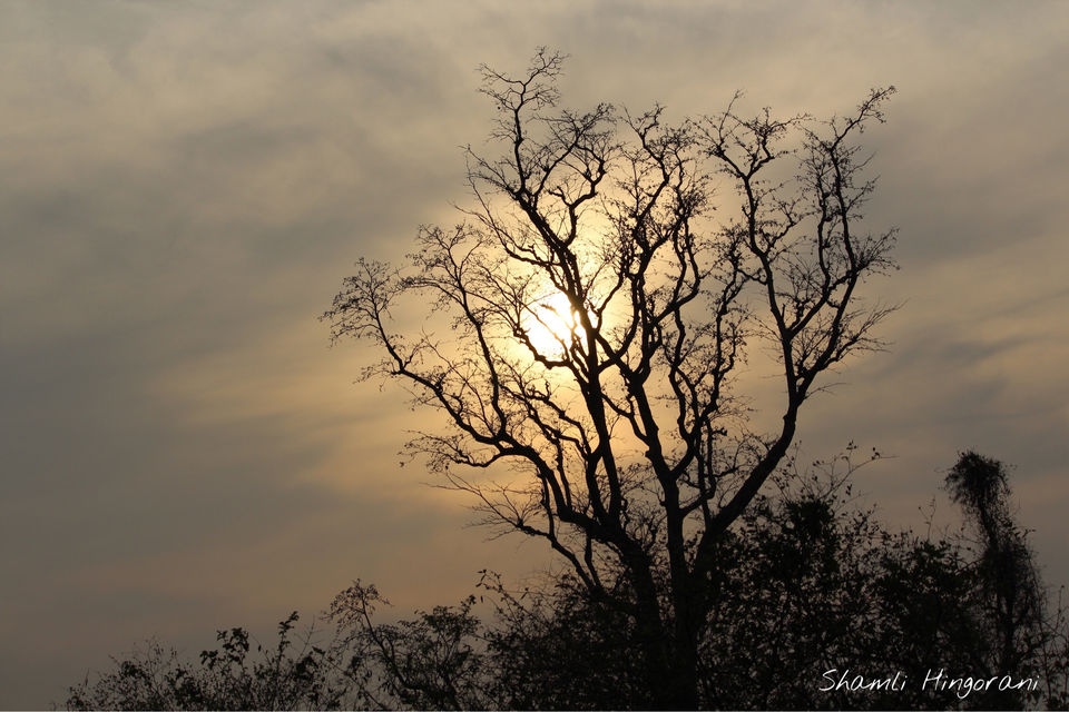 Photo of Dhela, Uttarakhand, India by Shamli Hingorani