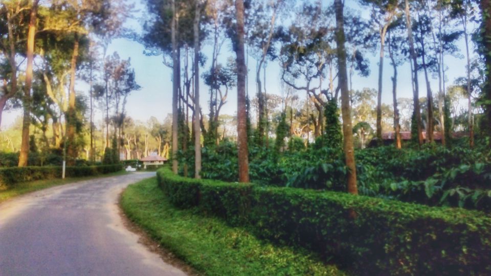 Photo of Eco-luxury Stay at Tata Coffee Plantation Trails by Shamli Hingorani