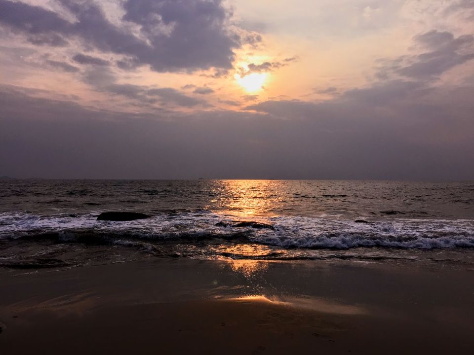 Photo of The Unseen world of Konkan #BestBeach2019 3/4 by Shamli Hingorani