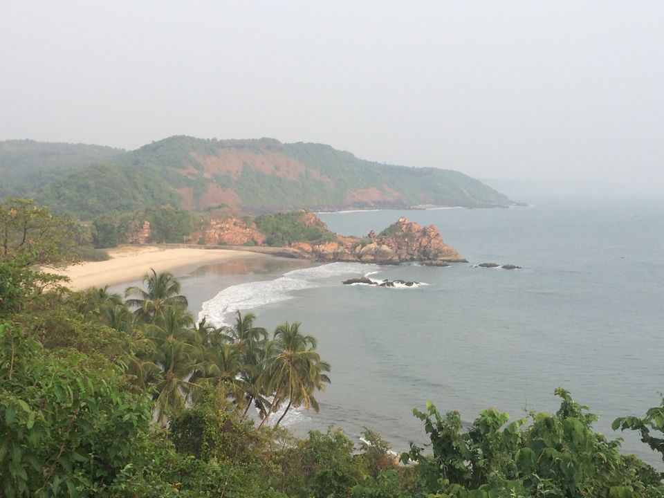 Photo of The Unseen world of Konkan #BestBeach2019 2/4 by Shamli Hingorani