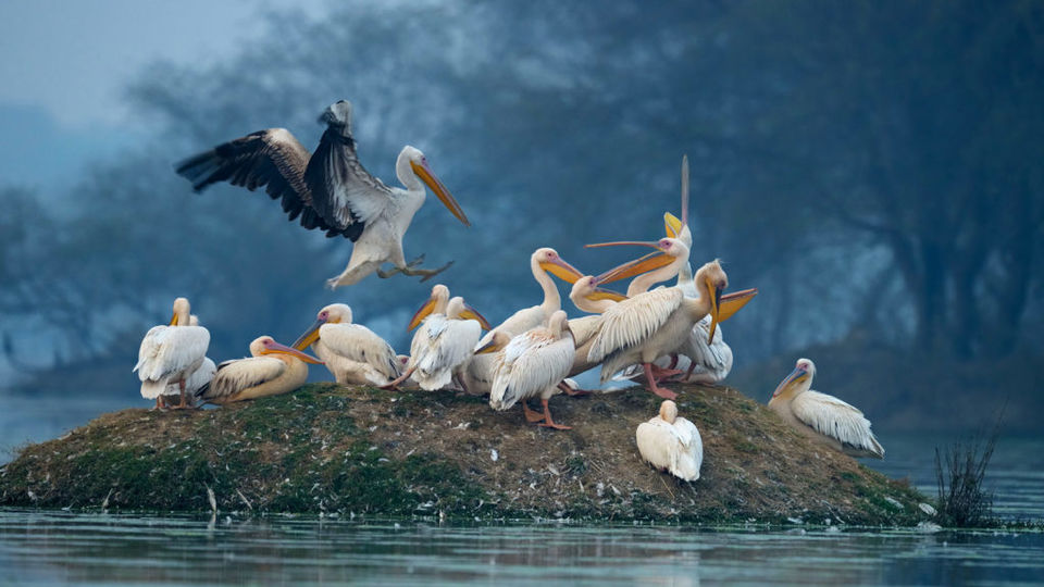 Photo of tourist places near delhi within 100 kms 1/1 by Juhi Saxena